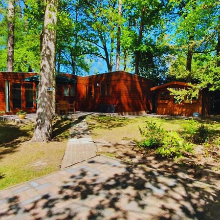 Вілла Wooden Nature Chalet - Dennenrhode Дорнспейк Екстер'єр фото