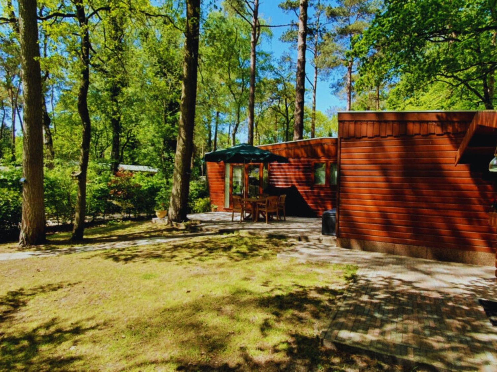 Вілла Wooden Nature Chalet - Dennenrhode Дорнспейк Екстер'єр фото