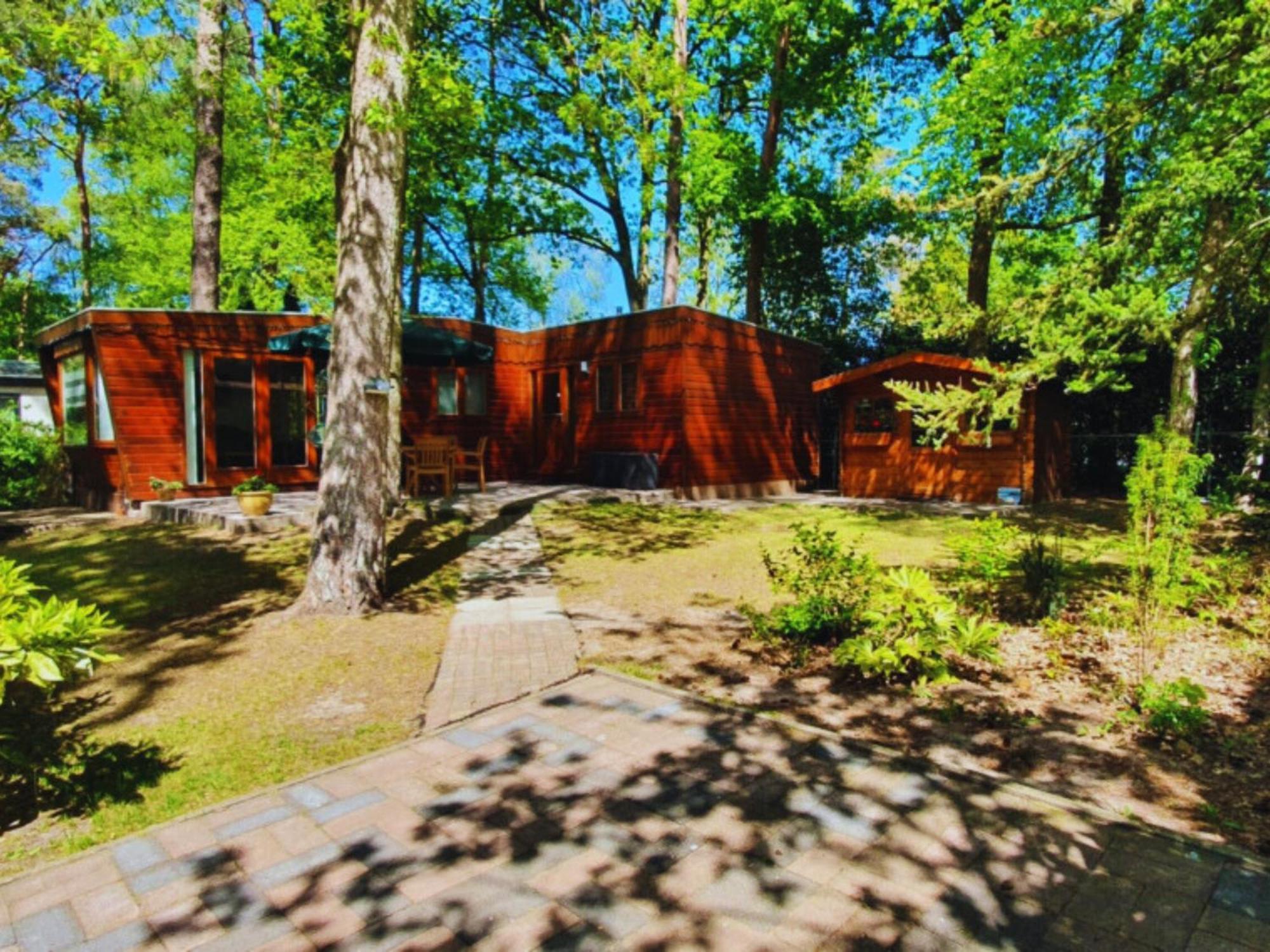 Вілла Wooden Nature Chalet - Dennenrhode Дорнспейк Екстер'єр фото